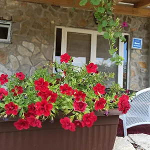 apartment-mare-babin-dub-plocanski.hotelinzadar.com/